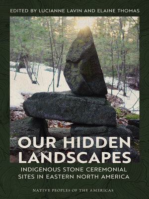 cover image of Our Hidden Landscapes